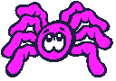 Purple_spider